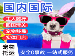 昭通航空货运国际宠物托运 【国
